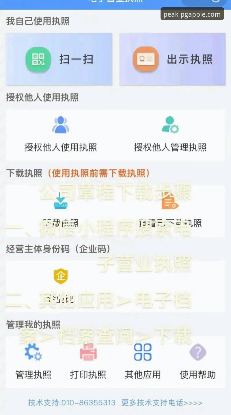 PG问鼎官方注册教程最新动态：一站式解析苹果版下载与安装全流程